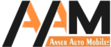 cropped anser logo header.png